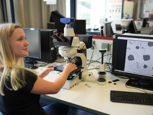 Labor_C102_Werkstofftechnik_Studierende_Mikroskop_FranziskaMärkl Studierende am Mikroskop für Versuch